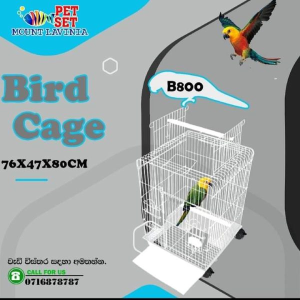 Bird cage