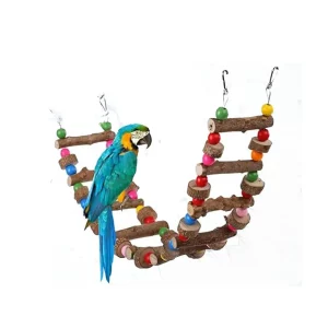 Colorful Bird Chewing Toy