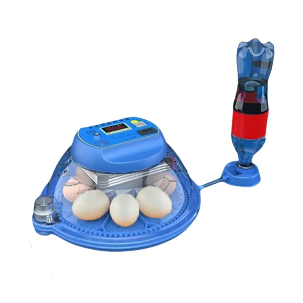 Eggs Incubator