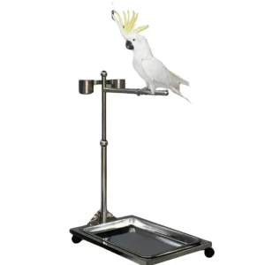 Macaw African Gray Cockatoo Stand