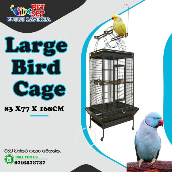 Large Bird Cage