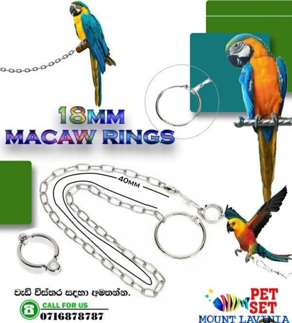 Macaw Rings (18mm)