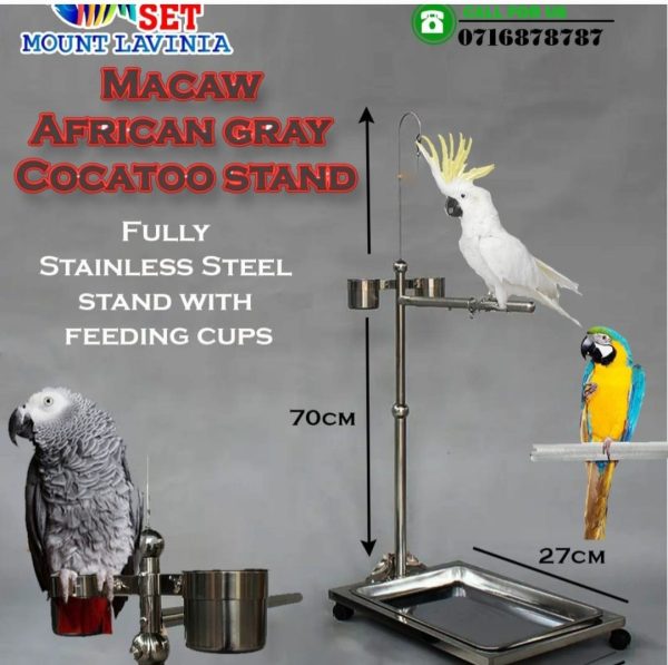 Macaw African Gray Cockatoo Stand