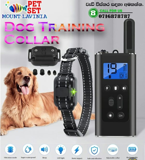 Dog Training Collar