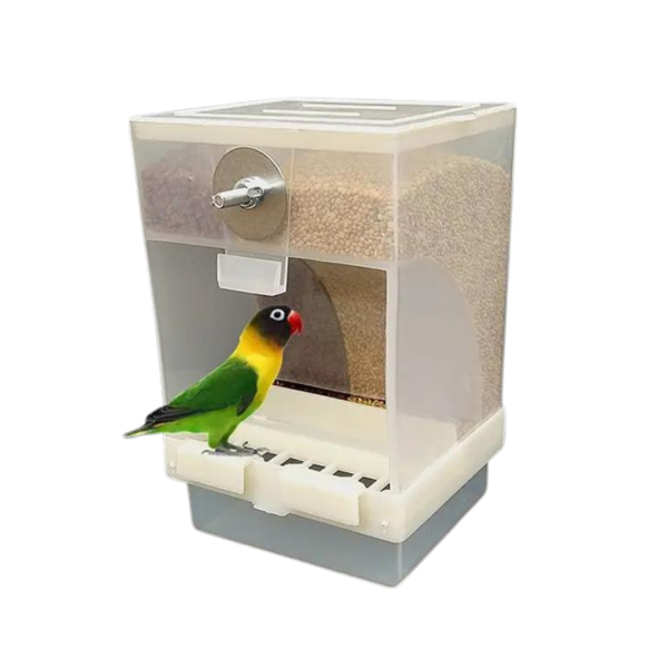 Double Grid Bird Feeder