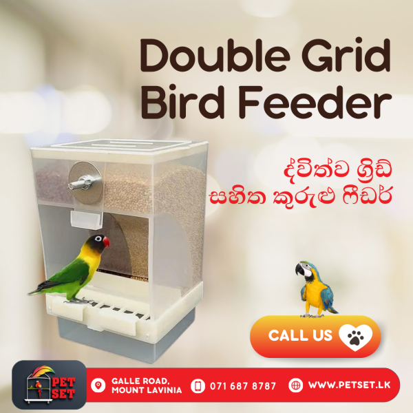 Double Grid Bird Feeder