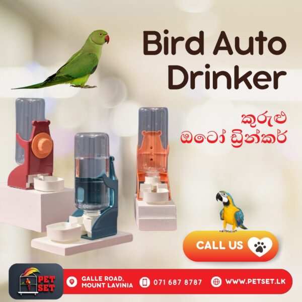 Bird Auto Drinker