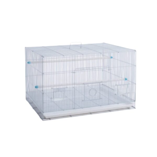 Bird Cage - C01