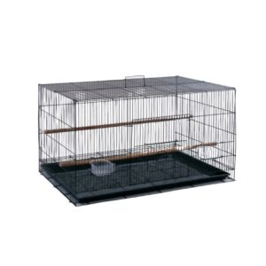 Bird Cage - D01