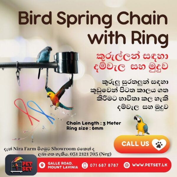 Bird Spring Chain with Ring
