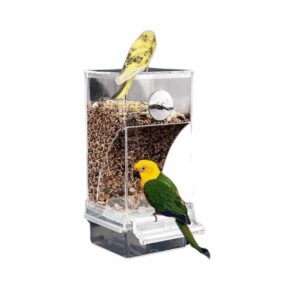 Bird Transparent Feeder