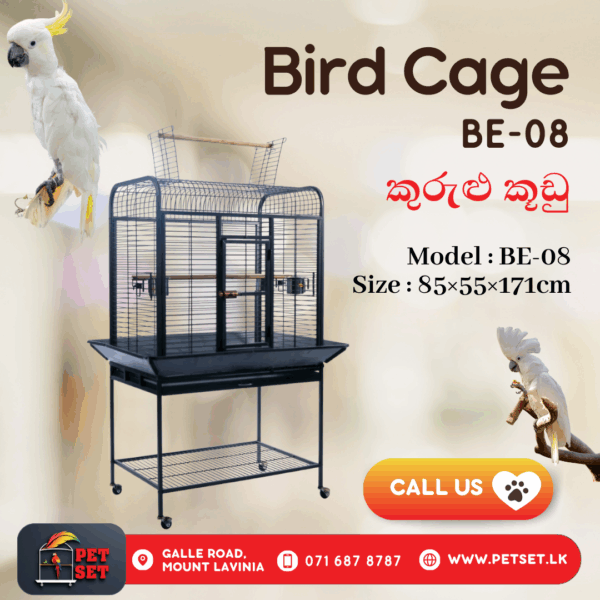 Bird Cage - BE08