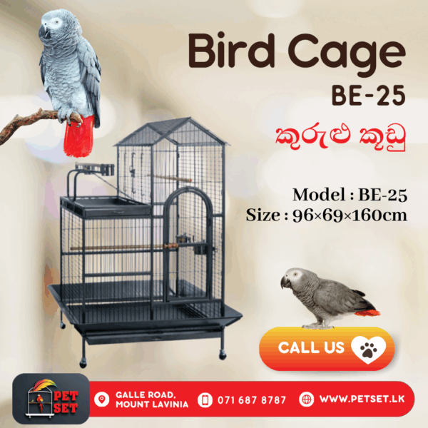 Bird Cage - BE25