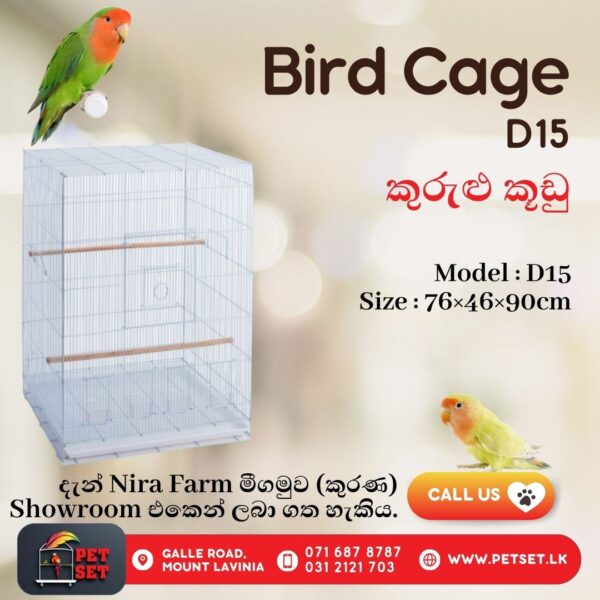 Bird Cage - D15
