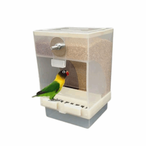 Double Grid Bird Feeder