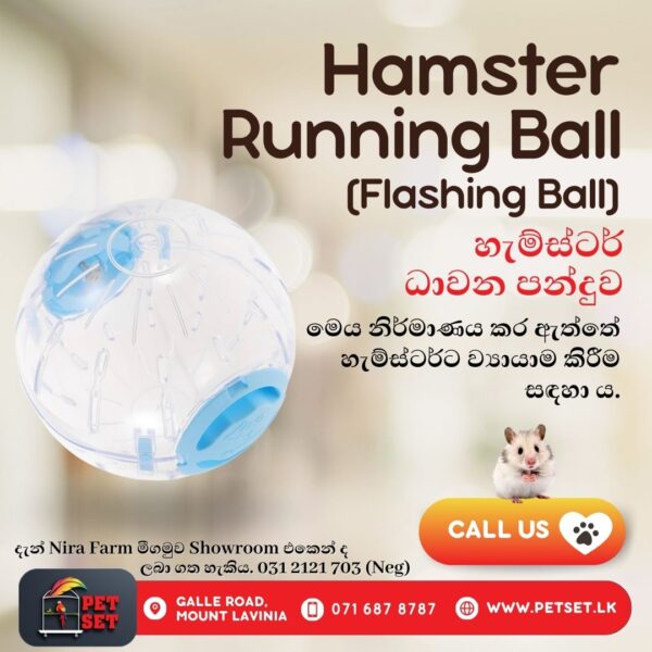 Hamster Running Ball