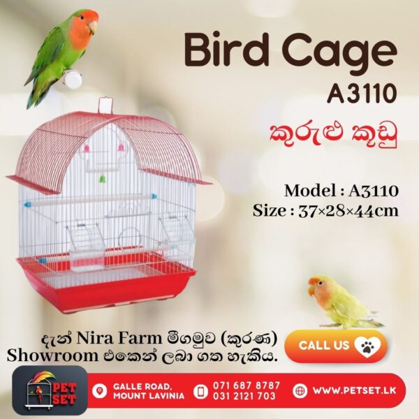 Bird Cage - A3110