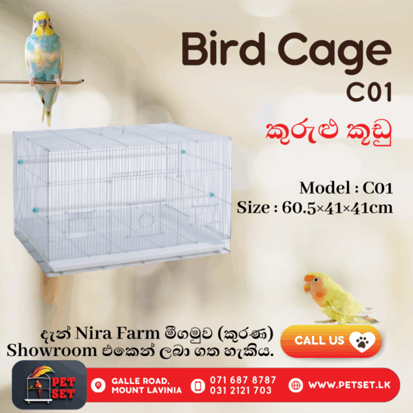 Bird Cage - C01