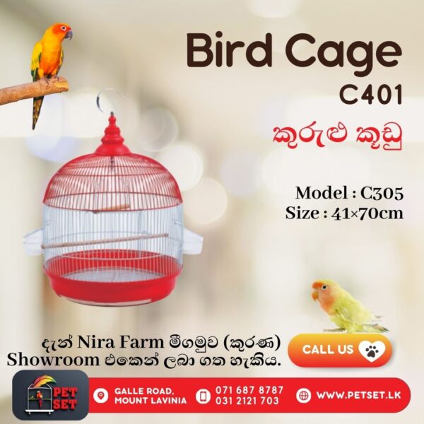 Bird Cage-C401