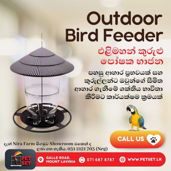 Outdoor Bird Feeder