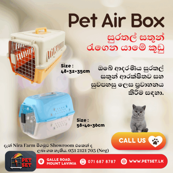Pet Air Box