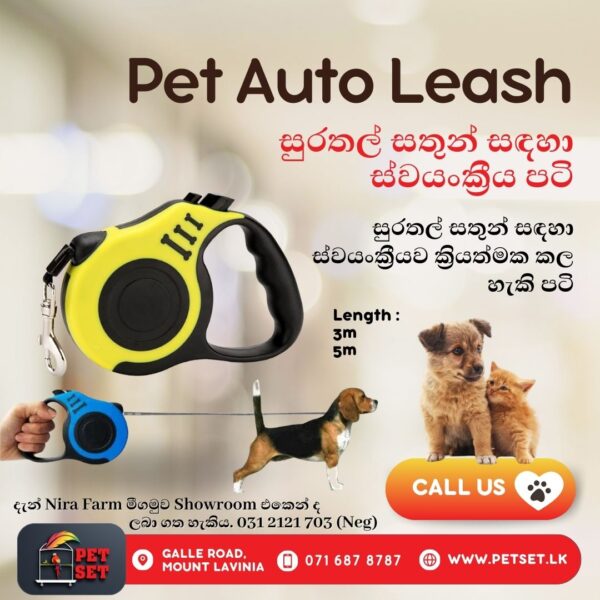Pet Auto Leash