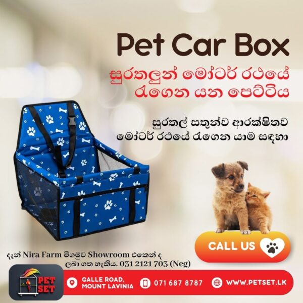 Pet Car Box