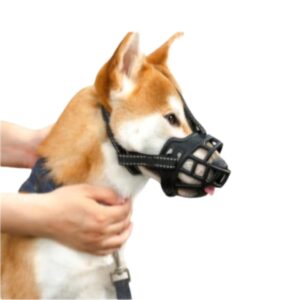 Pet Dog Muzzle