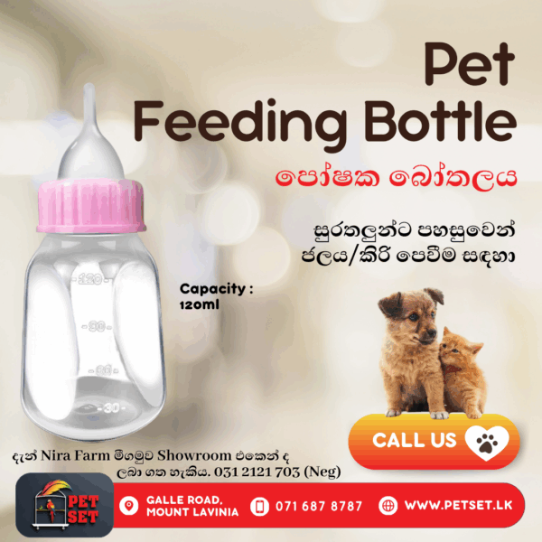 Pet feeding bottle