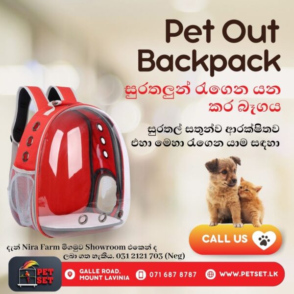 Pet out Backpack